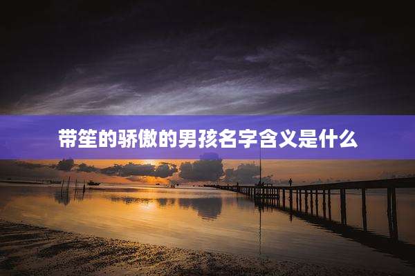 带笙的骄傲的男孩名字含义是什么