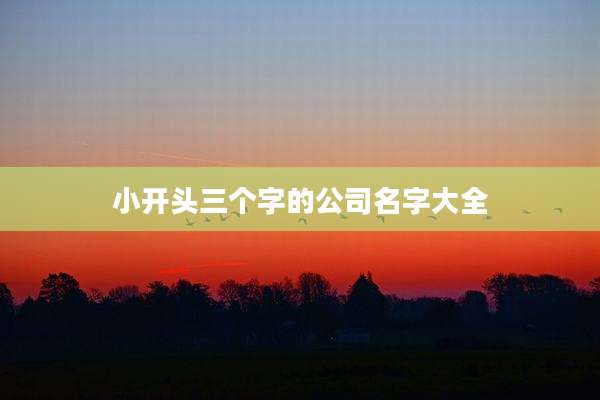 小开头三个字的公司名字大全