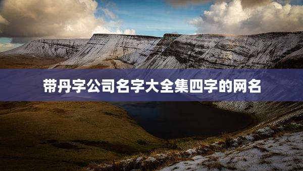 带丹字公司名字大全集四字的网名