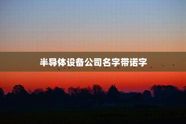 半导体设备公司名字带诺字
