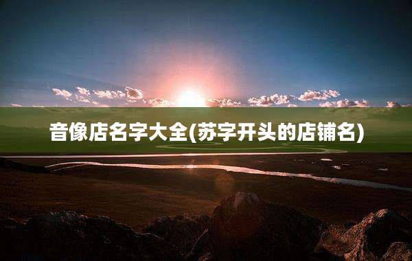 音像店名字大全(苏字开头的店铺名)