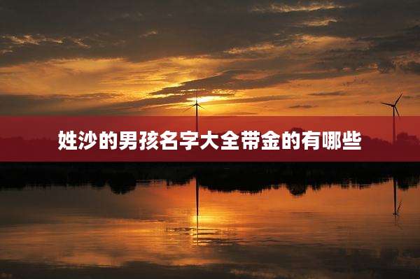 姓沙的男孩名字大全带金的有哪些