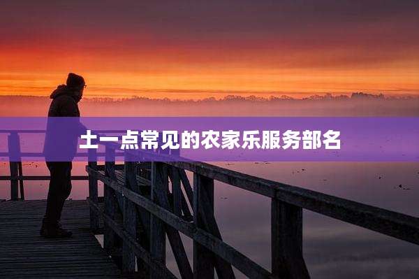 土一点常见的农家乐服务部名