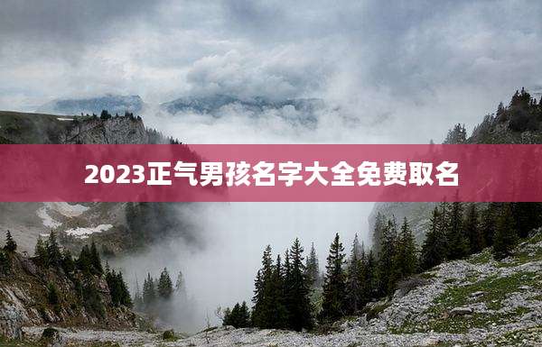 2023正气男孩名字大全免费取名