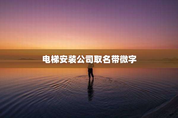 电梯安装公司取名带微字