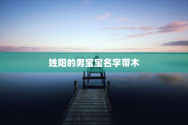 姓阳的男宝宝名字带木