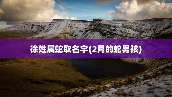 徐姓属蛇取名字(2月的蛇男孩)