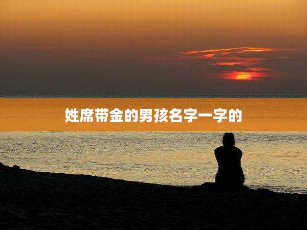 姓席带金的男孩名字一字的