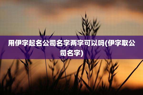 用伊字起名公司名字两字可以吗(伊字取公司名字)