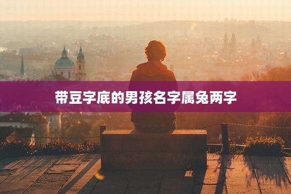 带豆字底的男孩名字属兔两字