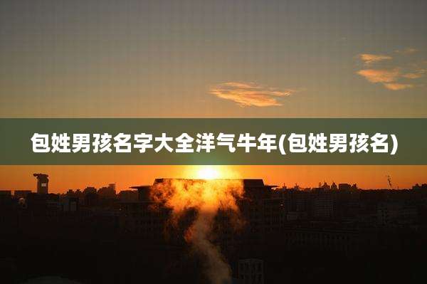 包姓男孩名字大全洋气牛年(包姓男孩名)