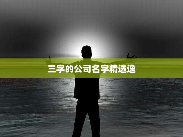 三字的公司名字精选逸