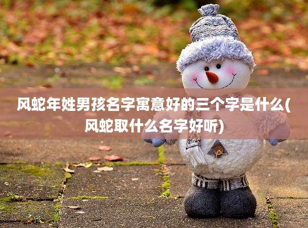 风蛇年姓男孩名字寓意好的三个字是什么(风蛇取什么名字好听)