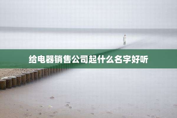 给电器销售公司起什么名字好听