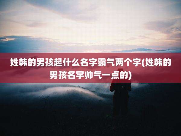 姓韩的男孩起什么名字霸气两个字(姓韩的男孩名字帅气一点的)