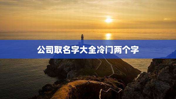 公司取名字大全冷门两个字