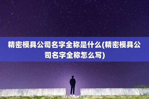 精密模具公司名字全称是什么(精密模具公司名字全称怎么写)