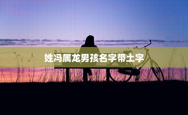 姓冯属龙男孩名字带土字