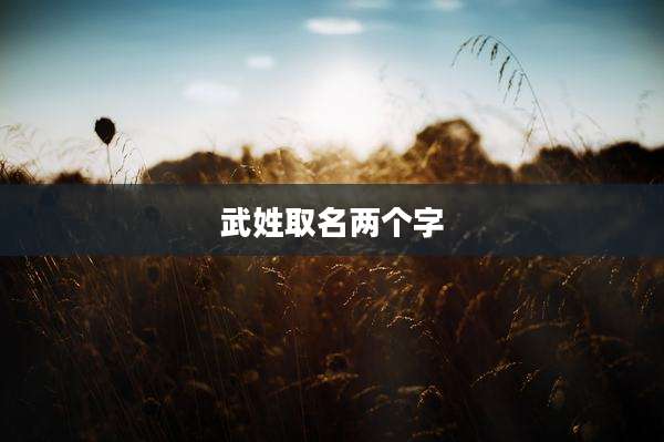 武姓取名两个字