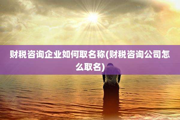 财税咨询企业如何取名称(财税咨询公司怎么取名)