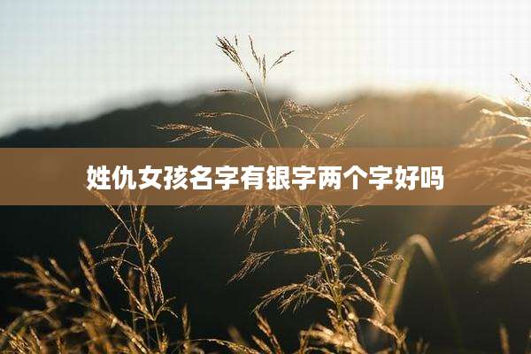 姓仇女孩名字有银字两个字好吗
