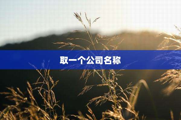 取一个公司名称