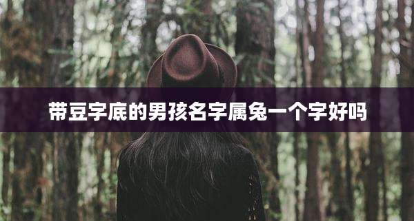 带豆字底的男孩名字属兔一个字好吗