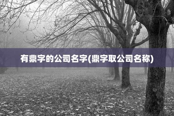 有鼎字的公司名字(鼎字取公司名称)