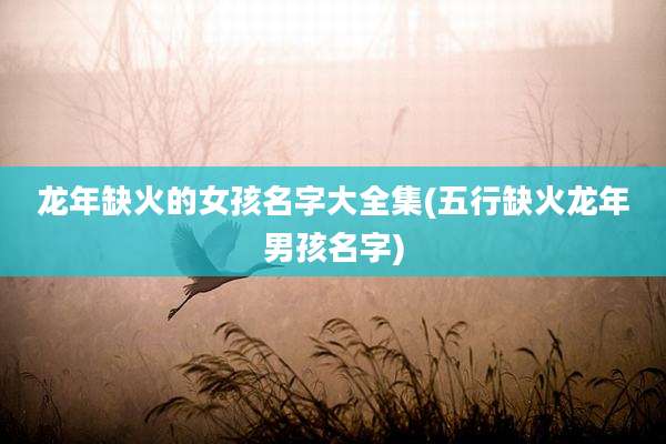 龙年缺火的女孩名字大全集(五行缺火龙年男孩名字)
