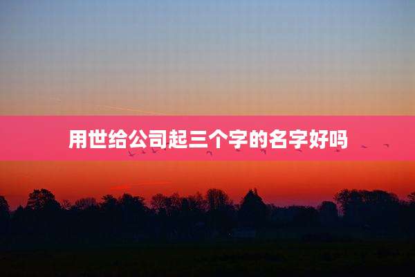 用世给公司起三个字的名字好吗