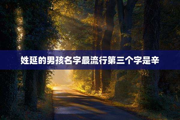 姓延的男孩名字最流行第三个字是辛
