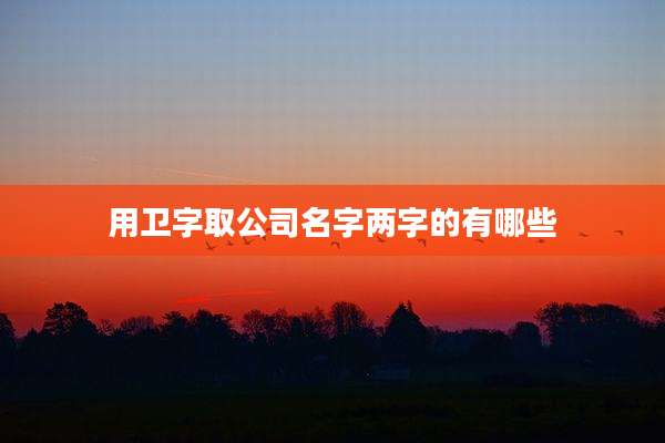 用卫字取公司名字两字的有哪些