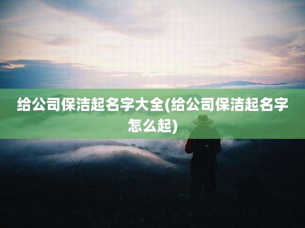 给公司保洁起名字大全(给公司保洁起名字怎么起)