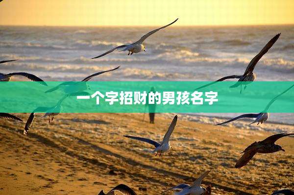 一个字招财的男孩名字