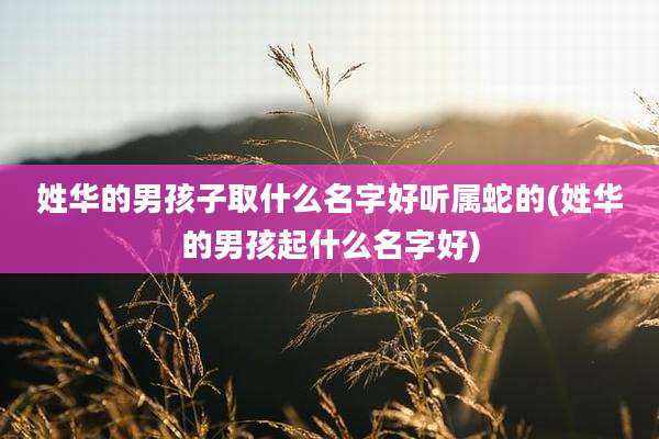 姓华的男孩子取什么名字好听属蛇的(姓华的男孩起什么名字好)