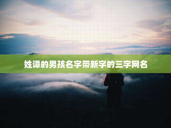 姓谭的男孩名字带新字的三字网名