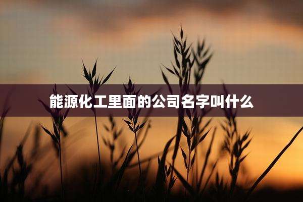 能源化工里面的公司名字叫什么