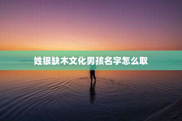 姓银缺木文化男孩名字怎么取