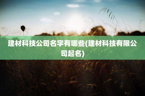 建材科技公司名字有哪些(建材科技有限公司起名)