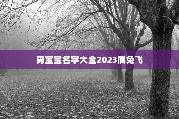 男宝宝名字大全2023属兔飞