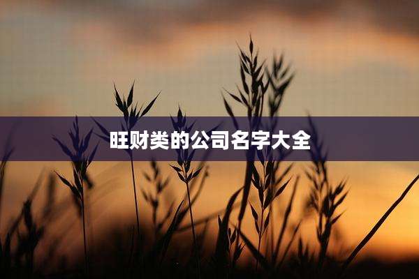 旺财类的公司名字大全