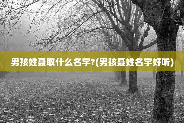 男孩姓聂取什么名字?(男孩聂姓名字好听)