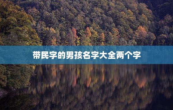 带民字的男孩名字大全两个字
