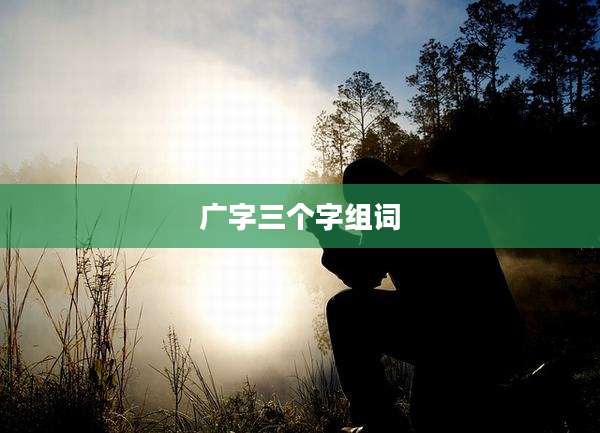 广字三个字组词