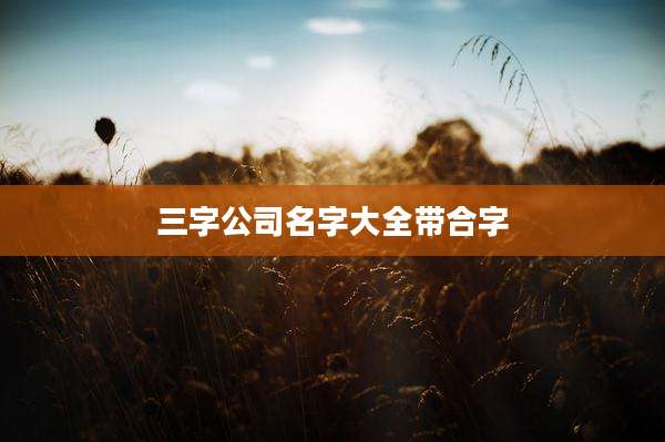 三字公司名字大全带合字