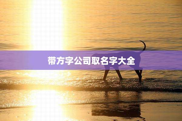带方字公司取名字大全
