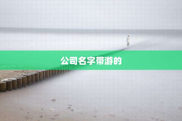 公司名字带游的
