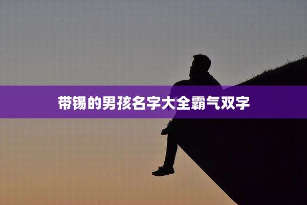 带锡的男孩名字大全霸气双字