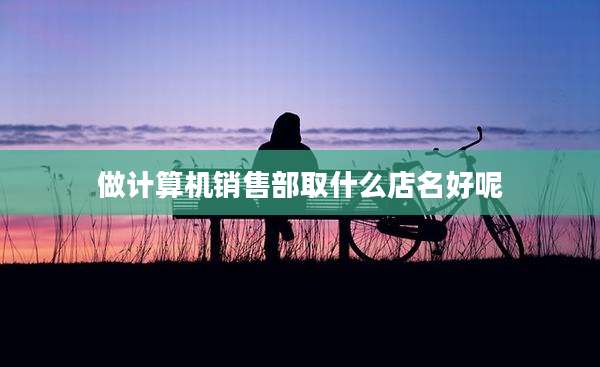 做计算机销售部取什么店名好呢