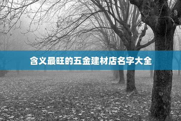 含义最旺的五金建材店名字大全